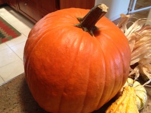 Today’s Hint: Where to Buy a Pumpkin in Richmond