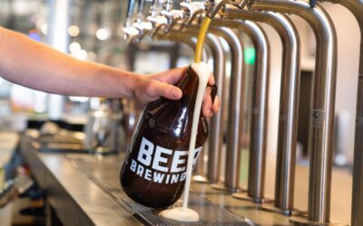 Most Family Friendly Breweries