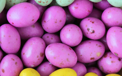 Where is the Easter Bunny?