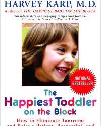 6 Mistakes Most Toddler Parents Make