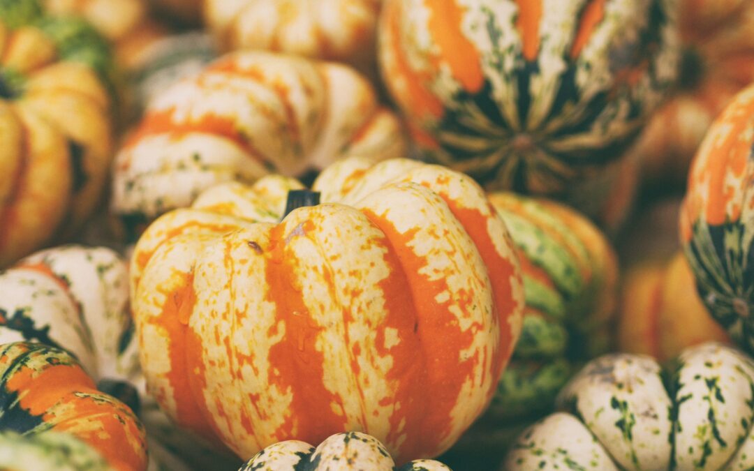 Richmond Fall Festival Guide