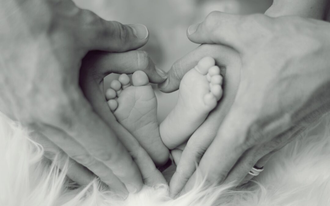 Charities That Help Families: Giving Back This Holiday Season