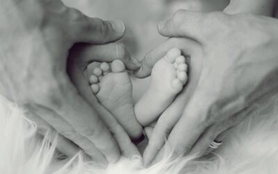 Charities That Help Families: Giving Back This Holiday Season