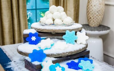 Too Cold to go Outside? Or maybe even Snow? Crafts & Recipes to Beat the Boredom!