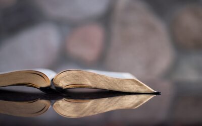 Books to Read for Adults and Kids