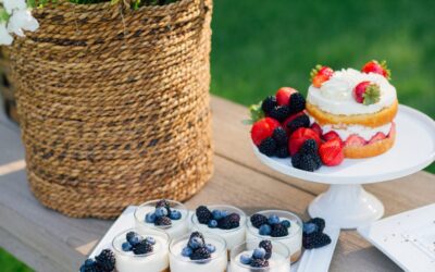 No-Bake Cheese Cake from Host to Perfection