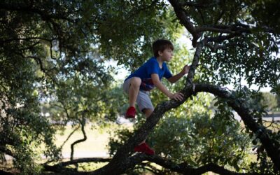 Concussions in Children: Signs & Symptoms
