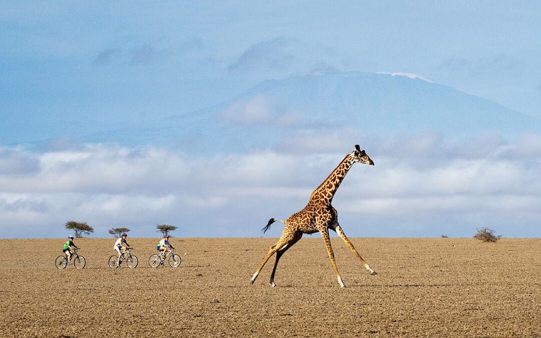 Top 10 Family Vacation Ideas for 2022
